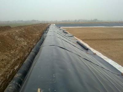 2Q== (1).jpg 2Q== (1).jpg