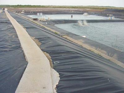 u=1784593455,210018842&fm=26&gp=0.jpg u=1784593455,210018842&fm=26&gp=0.jpg