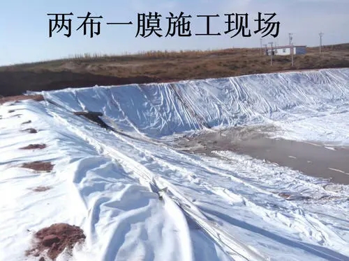 u=1036150850,973421595&fm=26&fmt=auto&gp=0.webp.jpg u=1036150850,973421595&fm=26&fmt=auto&gp=0.webp.jpg