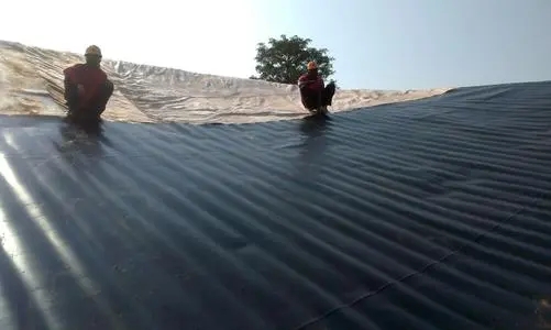 u=1920004821,731916941&fm=26&fmt=auto&gp=0.webp.jpg u=1920004821,731916941&fm=26&fmt=auto&gp=0.webp.jpg