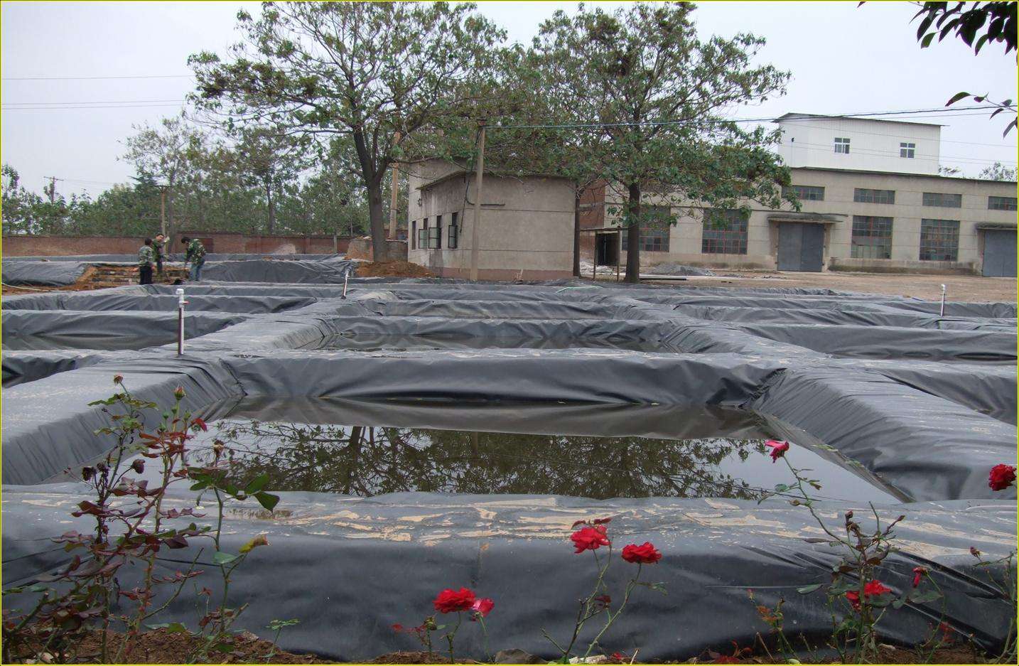 1-200605060132Q6.jpg 1-200605060132Q6.jpg