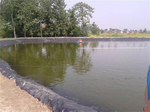 202106030911513604.jpg 202106030911513604.jpg